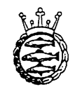 badge.bmp